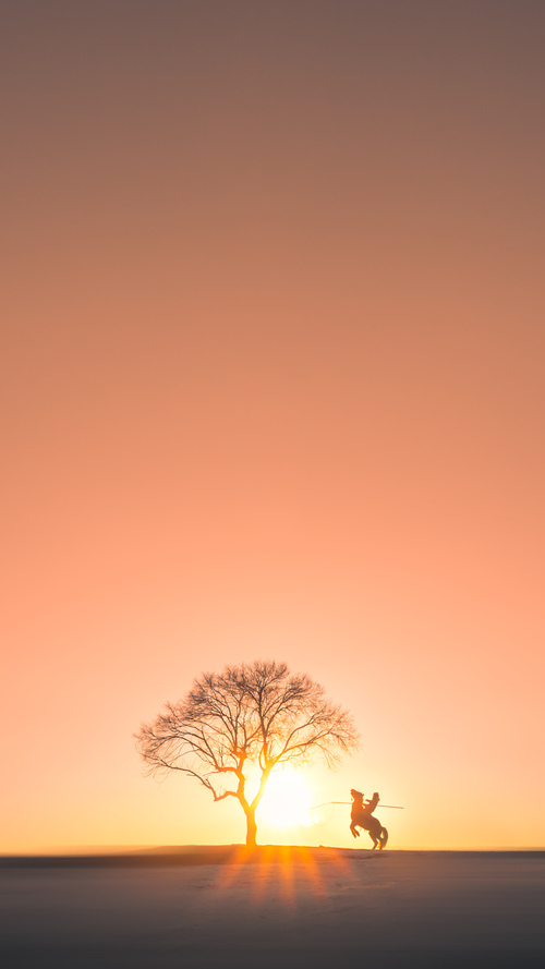 伊朗队在巴黎奥运会比赛中展现出高效的传球配合,伊朗 转播奥运会