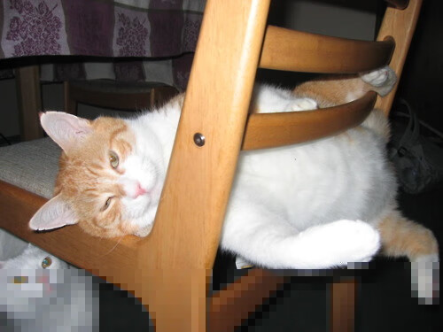 史上最精彩的“团队合作”绝技:“配合无缝”精彩纷呈!,团队合作配合语句