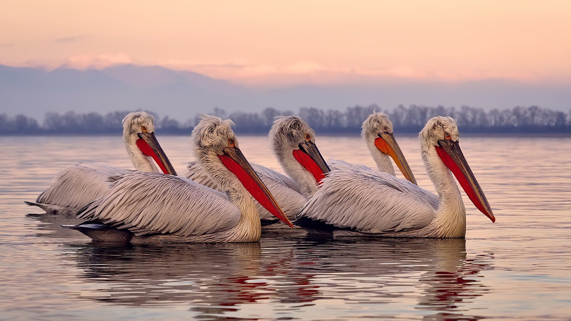 今年联盟中场得分最高的球员是哪位?,今年联盟中场得分最高的球员是哪位球星